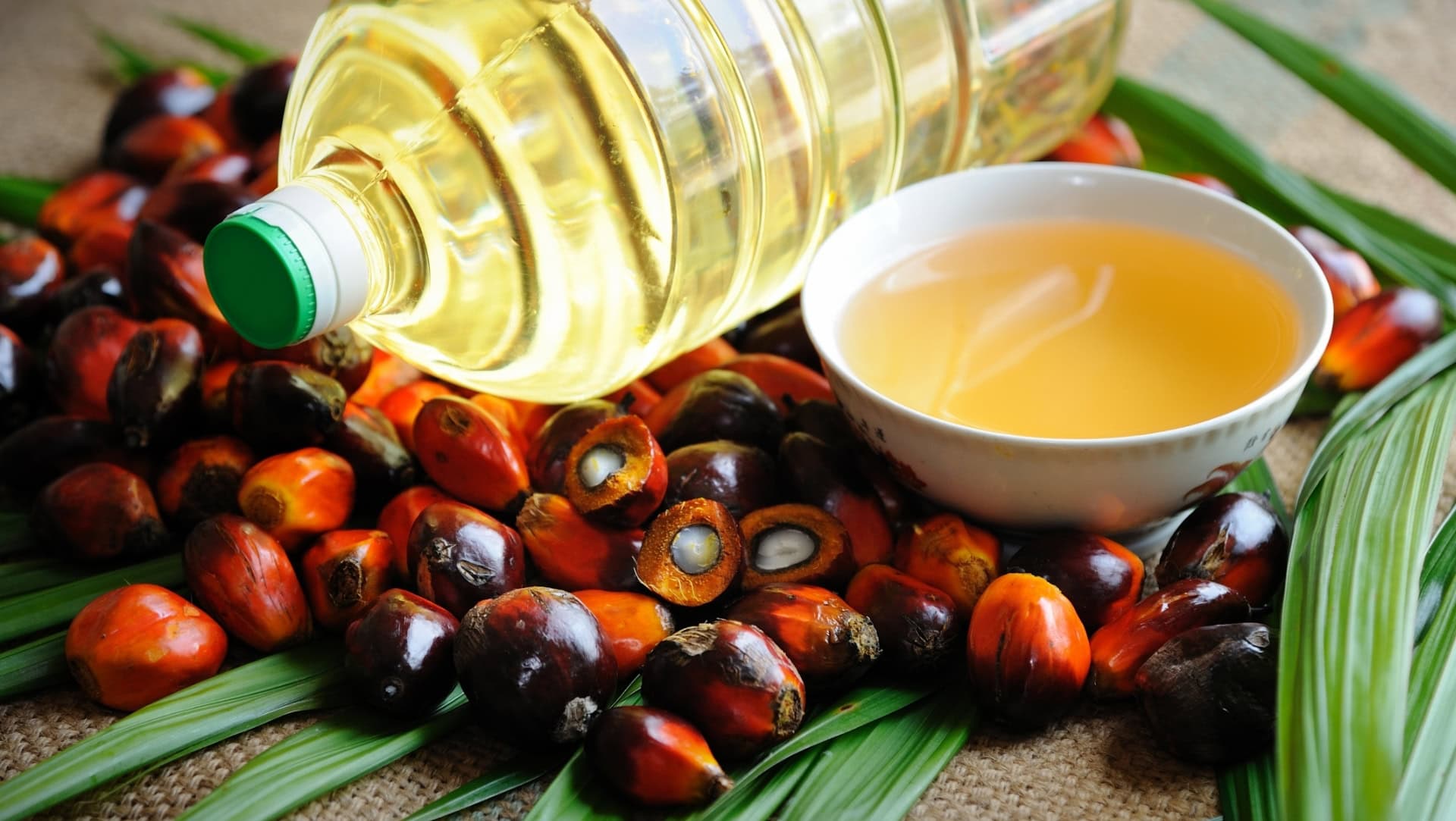 Image by slpu9945 ( sustainable-palm-oil)