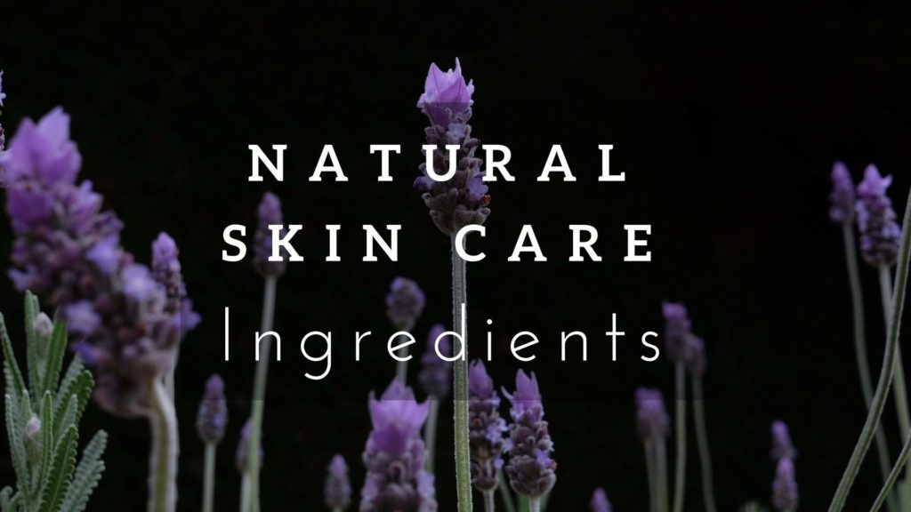 With an overwhelming list of natural skin care ingredients out there how do you differentiate between the best natural skin care ingredients and natural skin care ingredients that should be avoided? #naturalskincareingredients #sustainablejungle