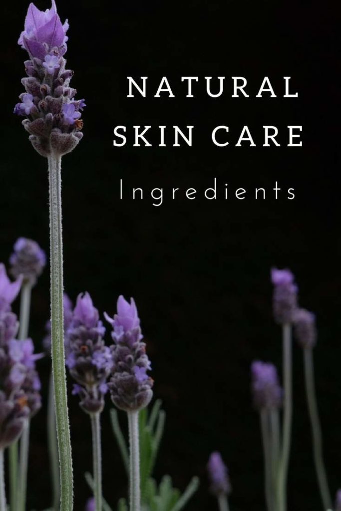 With an overwhelming list of natural skin care ingredients out there how do you differentiate between the best natural skin care ingredients and natural skin care ingredients that should be avoided? #naturalskincareingredients #sustainablejungle