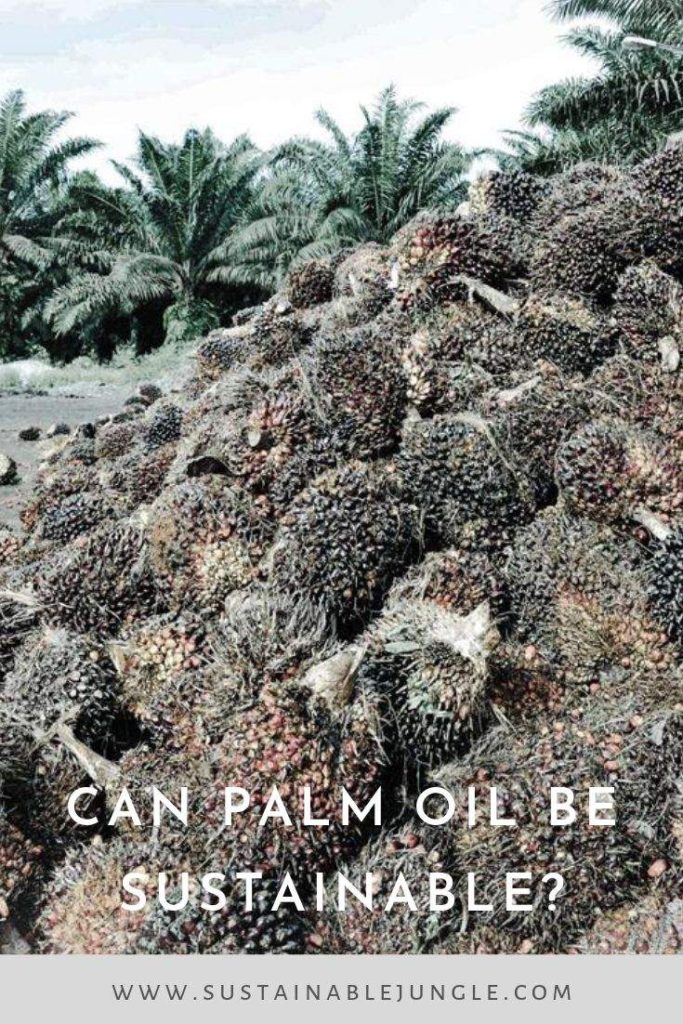 Is sustainable palm oil really sustainable? #sustainablepalmoil