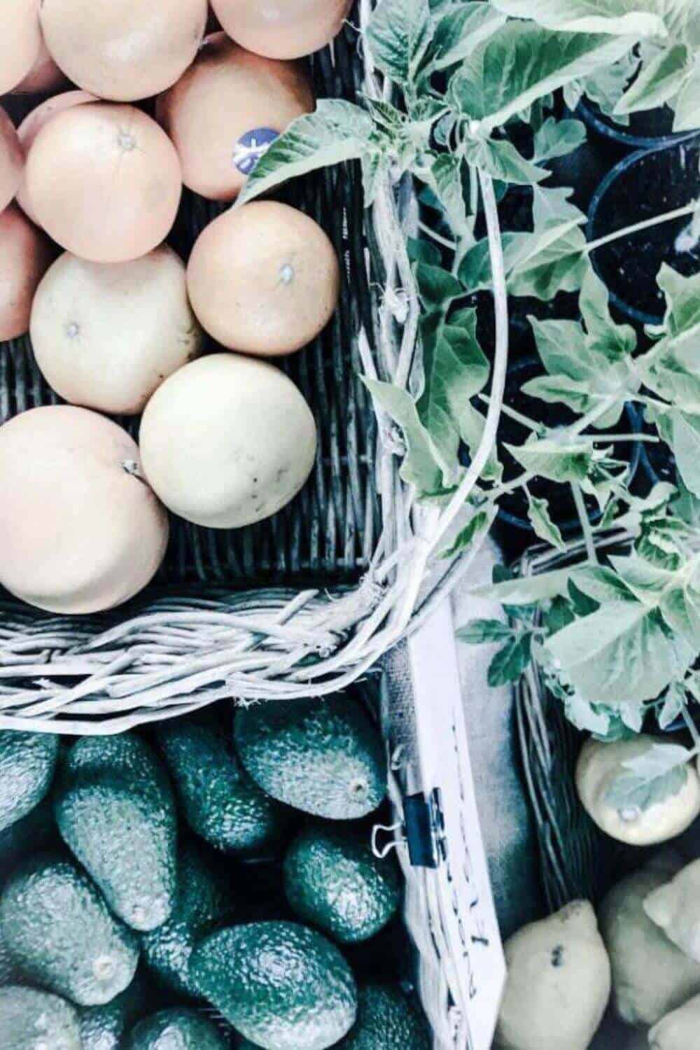 Farmers markets are a feast for the senses! Artisan delicacies, delicious fusion foods sizzling away in hipster food trucks, the smell of fresh bread and coffee, happy pups and cheery faces. Sounds like you couldn’t want more! #farmersmarket #farmersmarkets #localisbetter #shoplocal #seasonalproduce