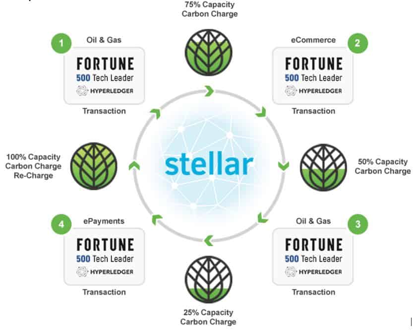 Market-Based Conservation Solutions And How Blockchain Is Taking Them To The Next Level #blockchainforconservation