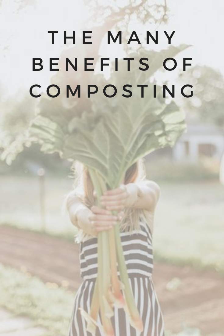 Compost Magic: The Many Benefits Of Composting #benefitsofcomposting #sustainableliving #sustainablejungle