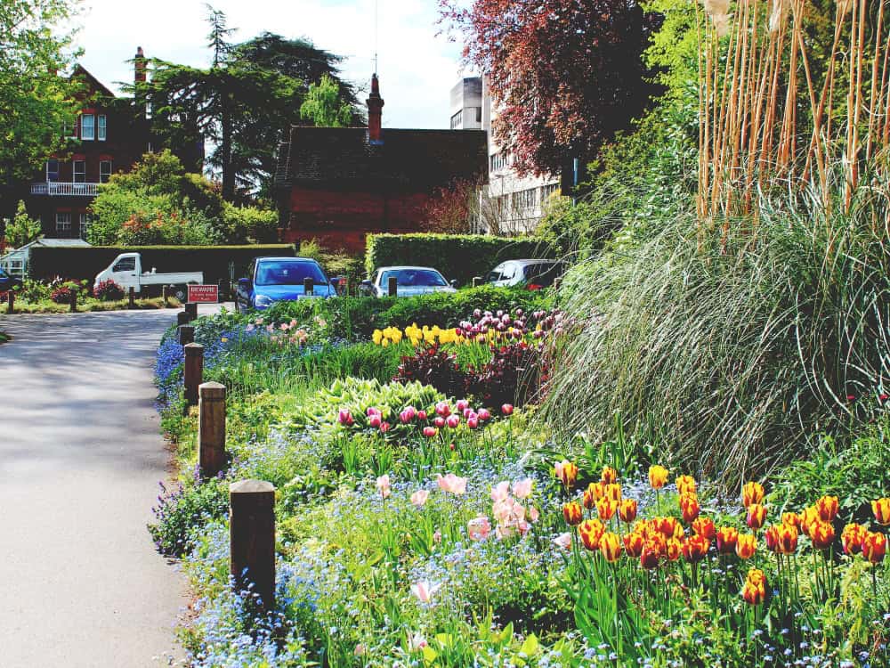 How To Live Sustainably In London: 9 Easy Eco Tips Image by Sustainable Jungle #howtolivesustainablyinLondon #livingsustainablyinLondon #sustainablelivinginLondon #sustainableLondon #sustainablejungle