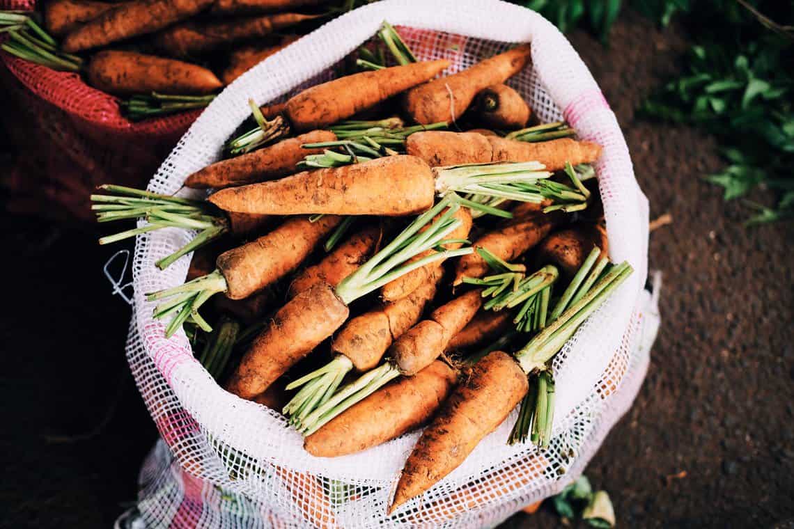Compost Magic: The Many Benefits Of Composting #benefitsofcomposting #sustainableliving #sustainablejungle