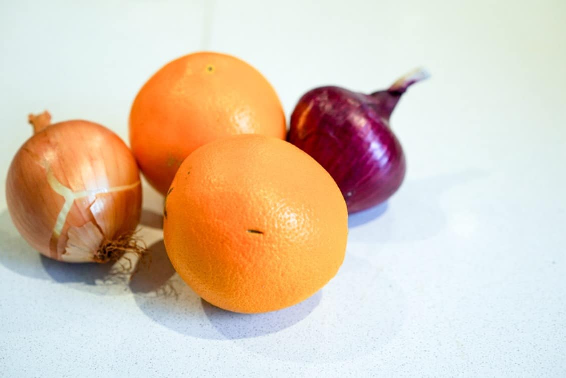 We’re going to take a dive into vermicomposting, or composting with nature’s perfect little garbage gobblers: worms! And first up, we're going to talk about a pretty important question: what do worms eat? #whatdowormseat #composting #vermicompost