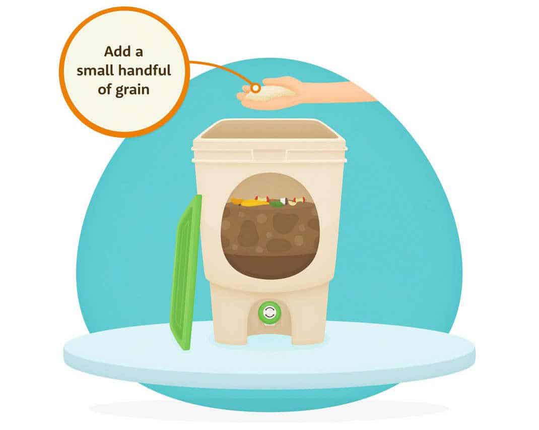 Indoor Compost Bin 7 Best Buys For A Waste Free Household