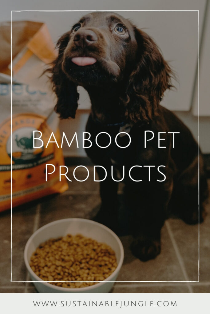 5 Bamboo Pet Products For Sustainable Pet Parenting #bamboopetproducts #bamboodogproducts #bamboopetsupplies #bamboopetaccessories #sustainablejungle Image by Beco