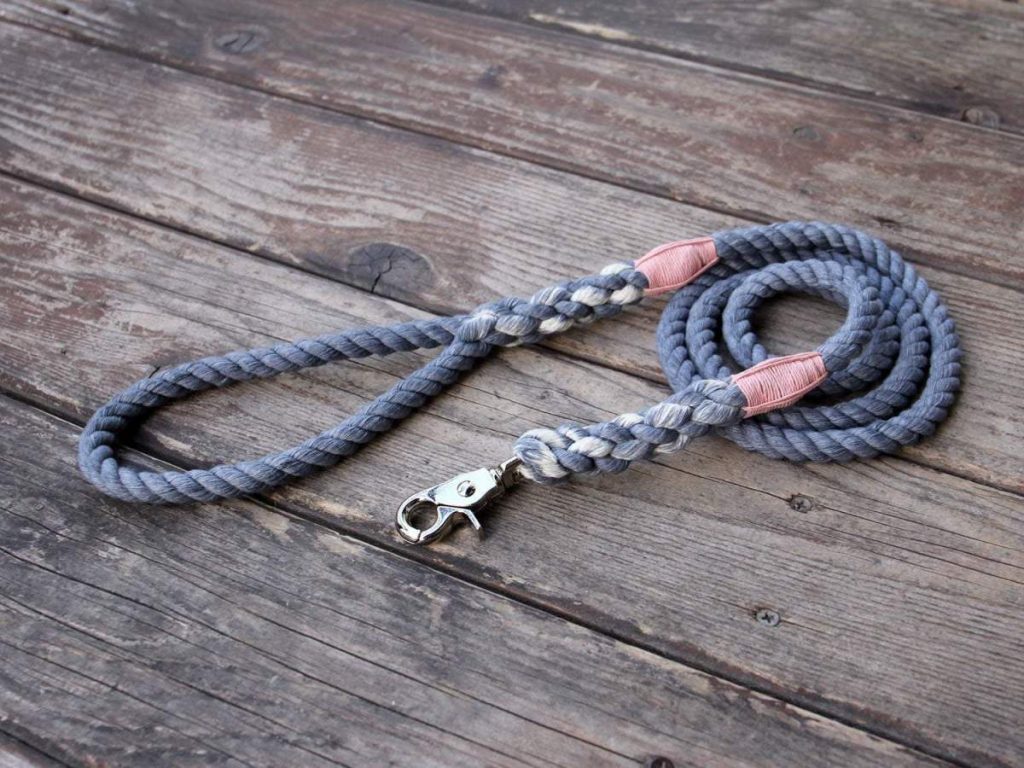 Eco Friendly Pet Products To Make Your Pet More Sustainable, One Paw A Time