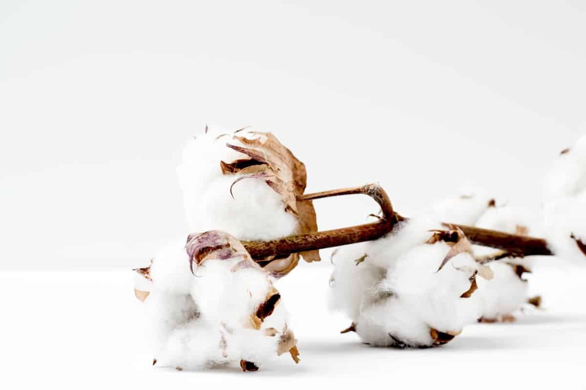 There’s A LOT happening when it comes to making fashion more sustainable. As human beings, we can make great change through innovation and creativity. We take a look at some of the latest and greatest... Image by Asha:Eleven #sustainablefashion #futureofsustainablefashion