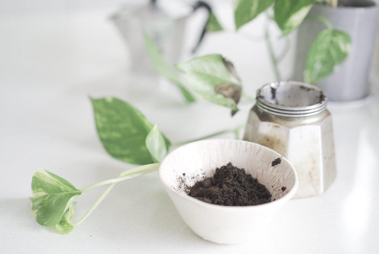 What Is Compostable? 101 Things You Can Compost Right at Home