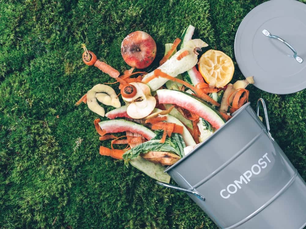 What is Sustainable Living Image By Canva Pro#sustainableliving