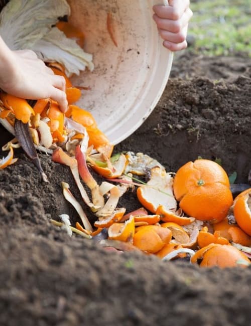 Biodegradable Vs Compostable: A Breakdown Of Breaking Down Waste Image by okugawa via Getty Images on Canva Pro #biodegradablevscompostable #compostablevsbiodegradable #doescompostablemeanbiodegradable #compostableplastic #biodegradableplastic #biodegradableandcompostable #sustainablejungle