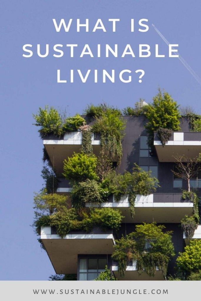 What is Sustainable Living #sustainableliving Photo by Victor Garcia on Unsplash