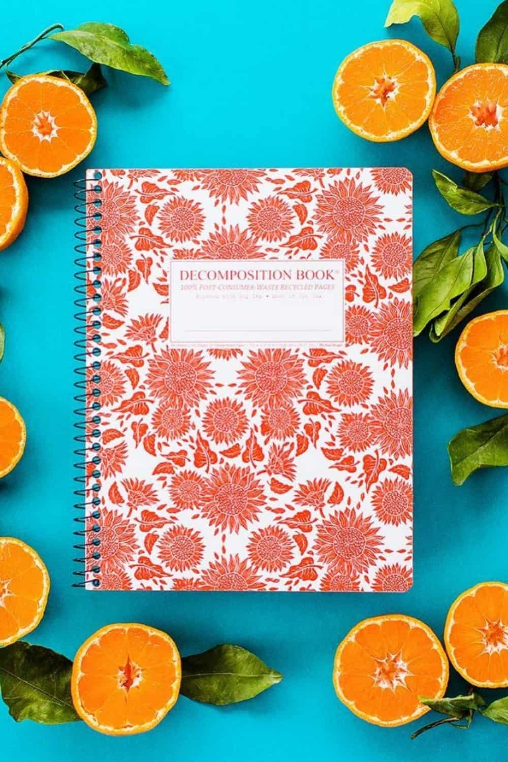 14 Eco Friendly School Supplies & Stationery Brands for an A+ in Sustainability #zerowasteschoolsupplies #ecofriendlyschoolsupplies #sustainablestationery #sustainablejungle Image by Decomposition
