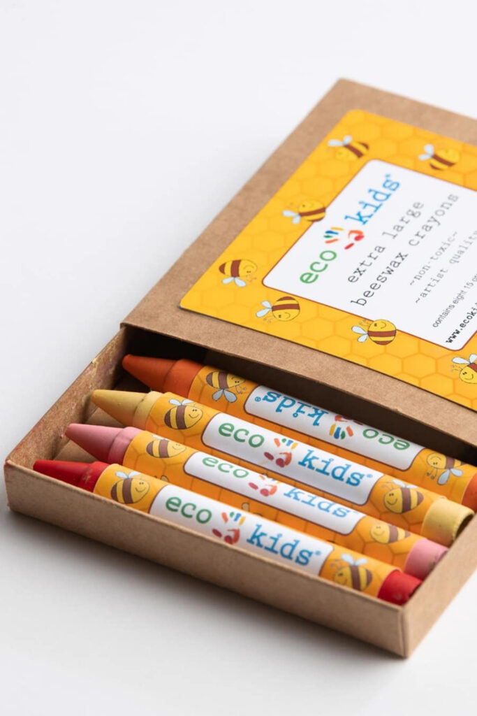 14 Eco Friendly School Supplies & Stationery Brands for an A+ in Sustainability #zerowasteschoolsupplies #ecofriendlyschoolsupplies #sustainablestationery #sustainablejungle Image by eco-kids