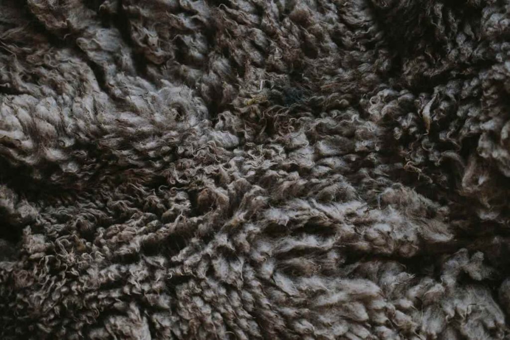 In some areas of the world, we’re starting to cozy up for winter which may have us wondering about one thing — what is fleece? Photo by Annie Spratt on Unsplash #sustainablefashion #whatisfleece