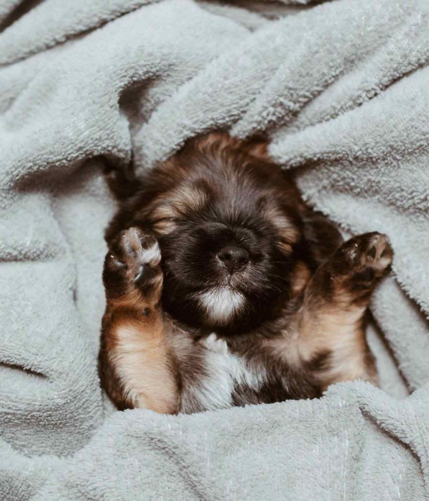 In some areas of the world, we’re starting to cozy up for winter which may have us wondering about one thing — what is fleece? Photo by Isabela Kronemberger on Unsplash #sustainablefashion #whatisfleece