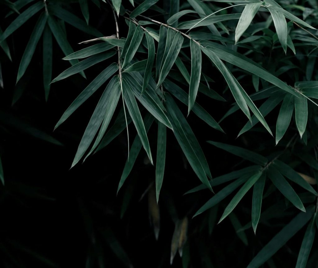Hemp fabric is hip and happening. You’ve probably only been hearing about it recently, but hemp fiber has been around FOREVER Photo by Qusv Yang on Unsplash #hemp #sustainablefashion