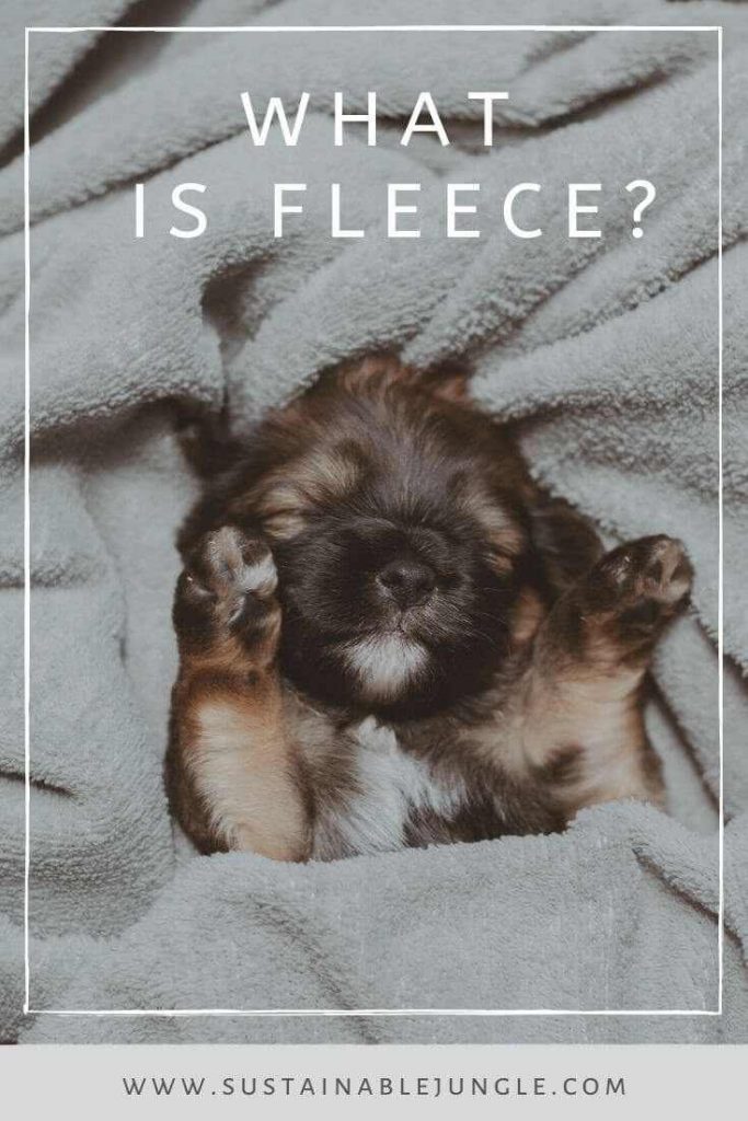 In some areas of the world, we’re starting to cozy up for winter which may have us wondering about one thing — what is fleece? Photo by Isabela Kronemberger on Unsplash #sustainablefashion #whatisfleece