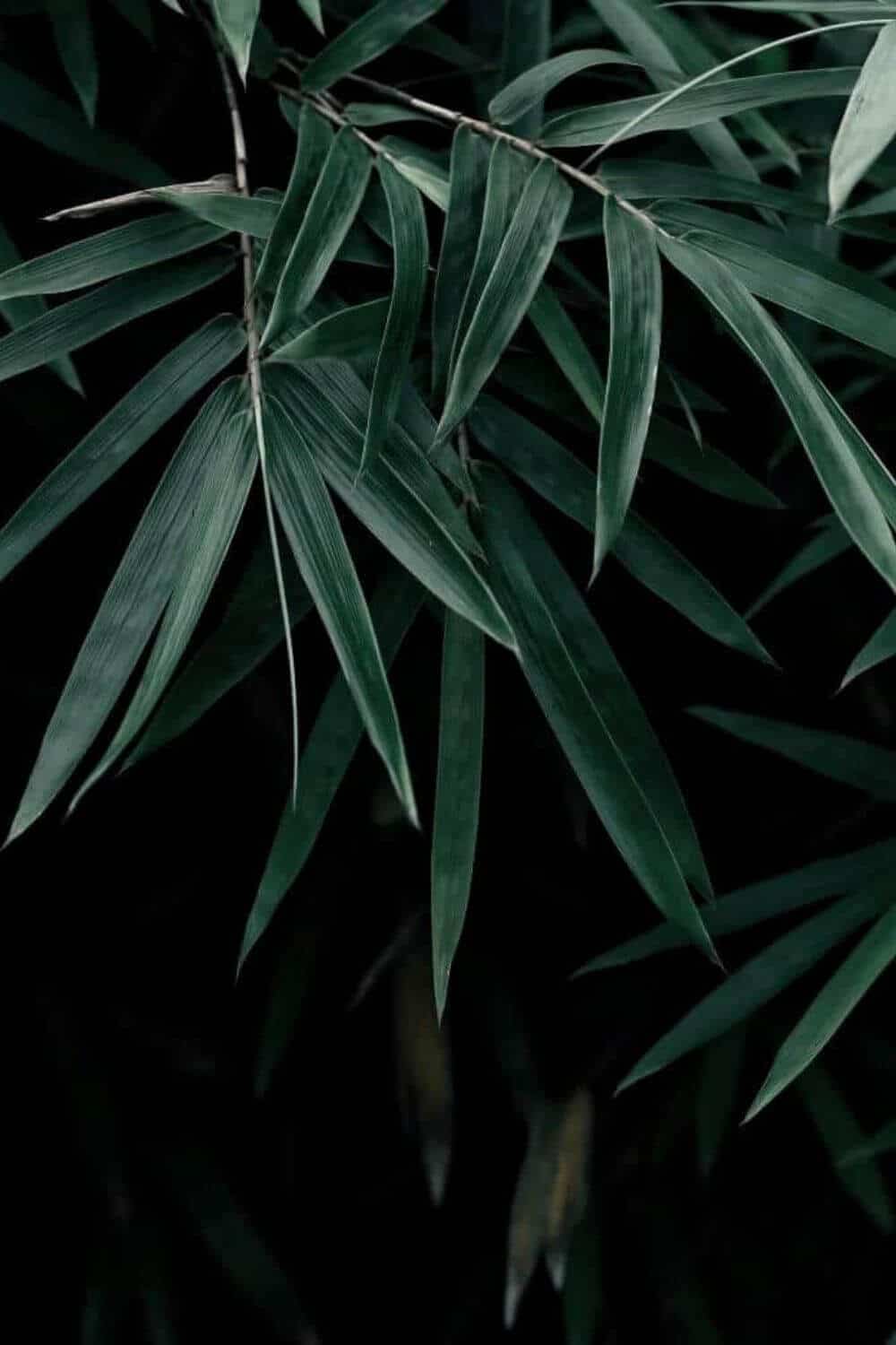 Hemp fabric is hip and happening. You’ve probably only been hearing about it recently, but hemp fiber has been around FOREVER Photo by Qusv Yang on Unsplash #hemp #sustainablefashion