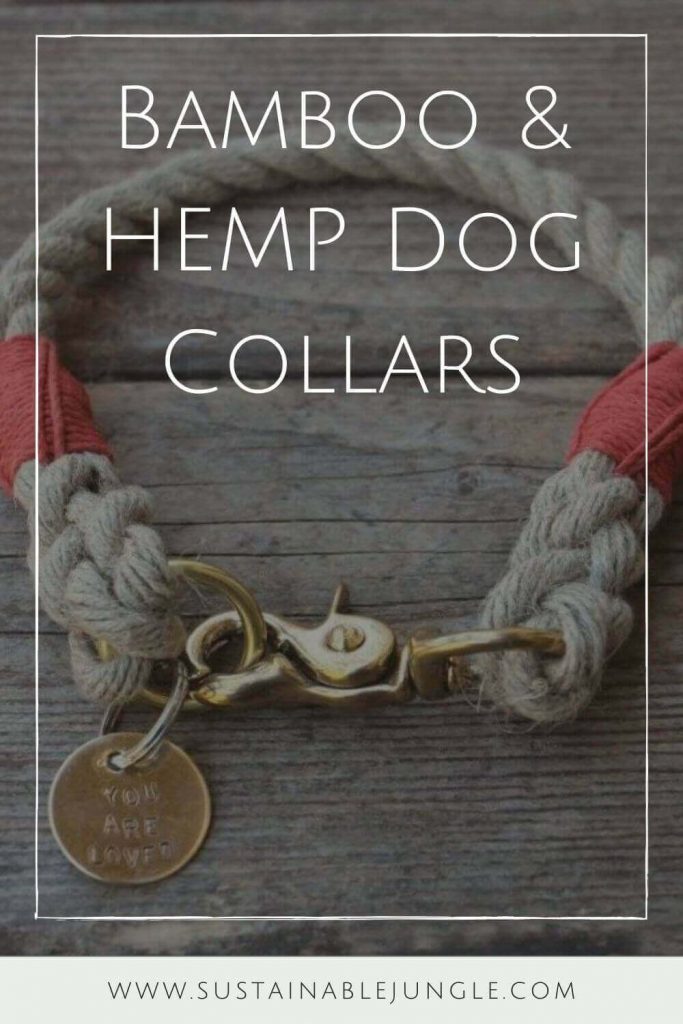 One of the most important pet products that any owner worth his doggy biscuits should care about is a dog collar. But preferably a sustainable and eco-friendly bamboo or hemp pet collar. Image by Wiggly Woos #bamboodogcollar #hempdogcollar #sustainablejungle