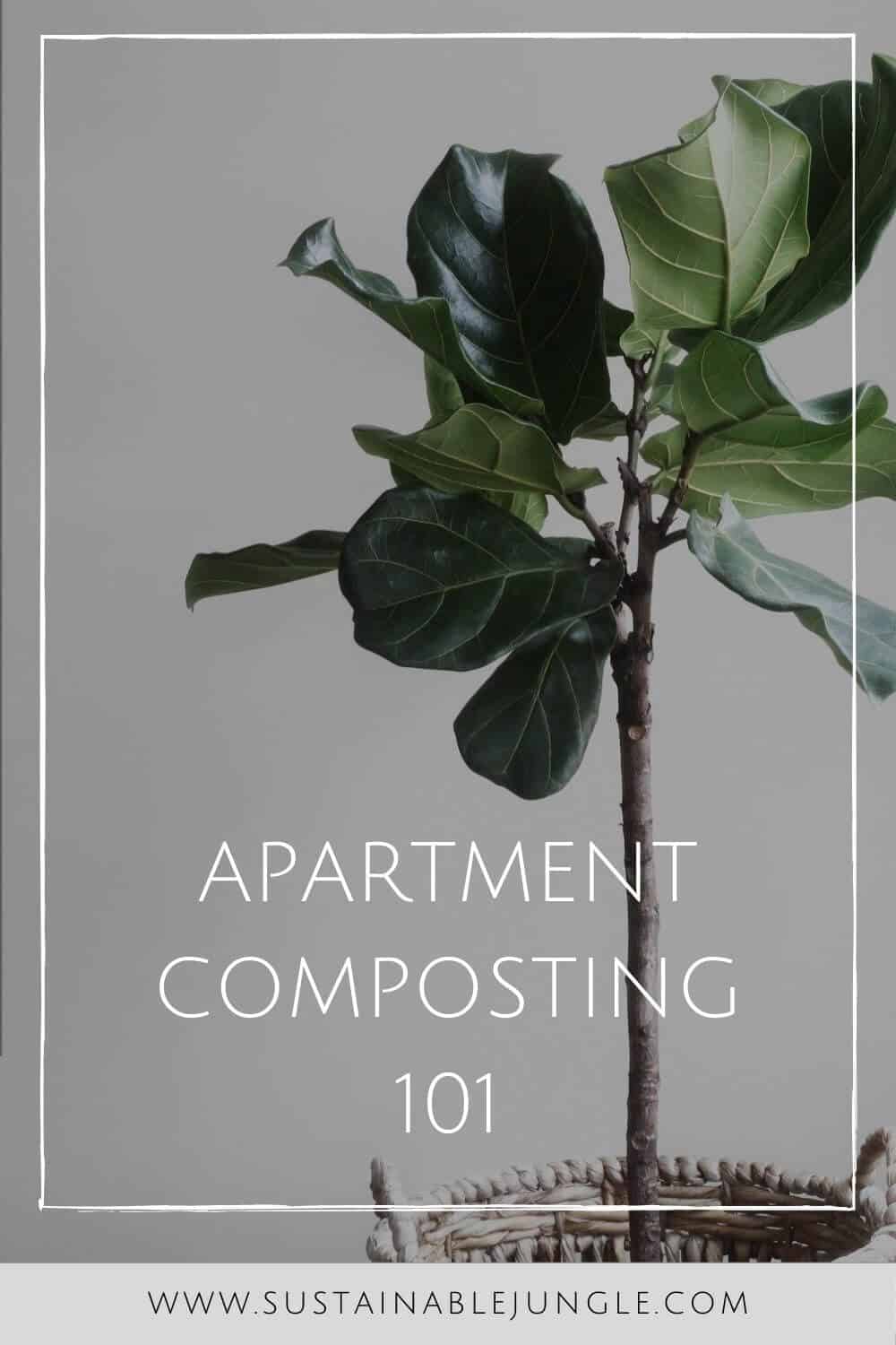 Living in a small apartment doesn’t mean you can’t do your part. Learn how to compost in an apartment with our apartment composting guide... Photo by Lauren Mancke on Unsplash #apartmentcomposting #sustainablejungle