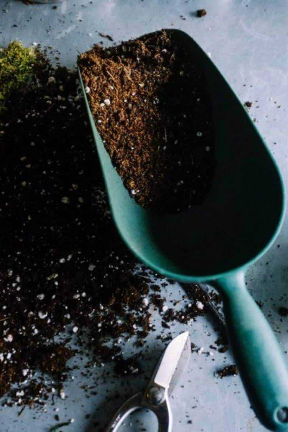 Compost Magic The Many Benefits Of Composting #benefitsofcomposting #sustainableliving #sustainablejungle