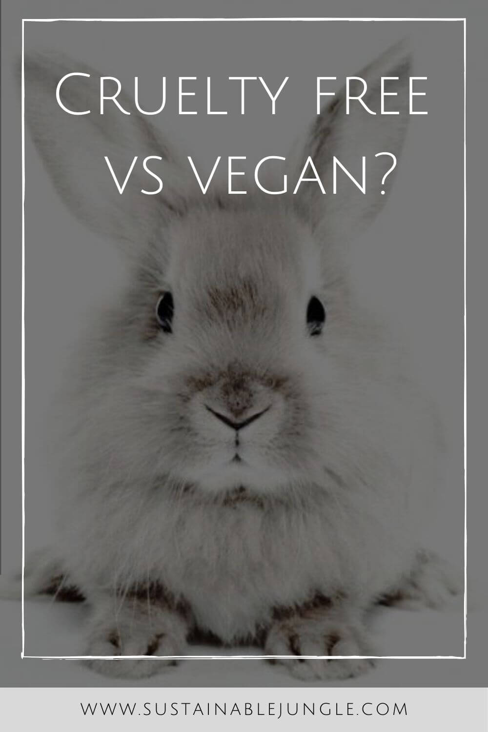 Cruelty free vs Vegan: The future of the beauty industry is vegan AND cruelty-free. But why do we need to refer to both terms, are they not synonymous? The answer: it depends. #crueltyfreevsvegan #sustainablejungle