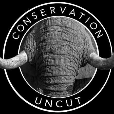 With climate change and biodiversity loss happening at an alarming rate, it’s high time we tune in to conservation issues, what better way than to start subscribing to some inspiring, educational and environmental podcasts out there. Image by Gianluca Cerullo Conservation Uncut Podcast #environmentalpodcasts #sustainablejungle