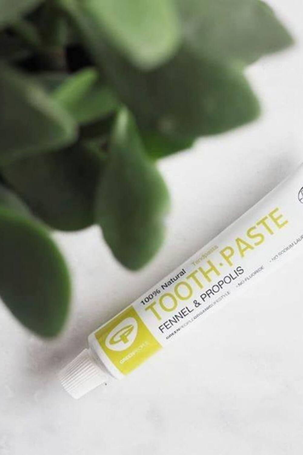 Toothpaste is probably the most regularly used body care product around which is why it was one of the first products we scrutinized for sustainable, cruelty free toothpaste alternatives... Image by Green People Organic #crueltyfreetoothpaste #vegantoothpaste #sustainablejungle