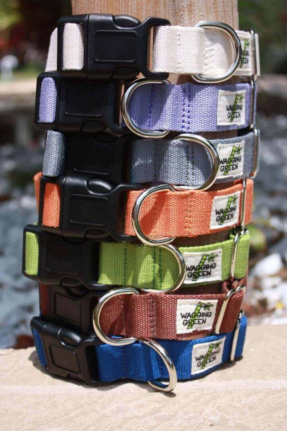 The 8 Best Eco-Friendly Dog Collars of 2023