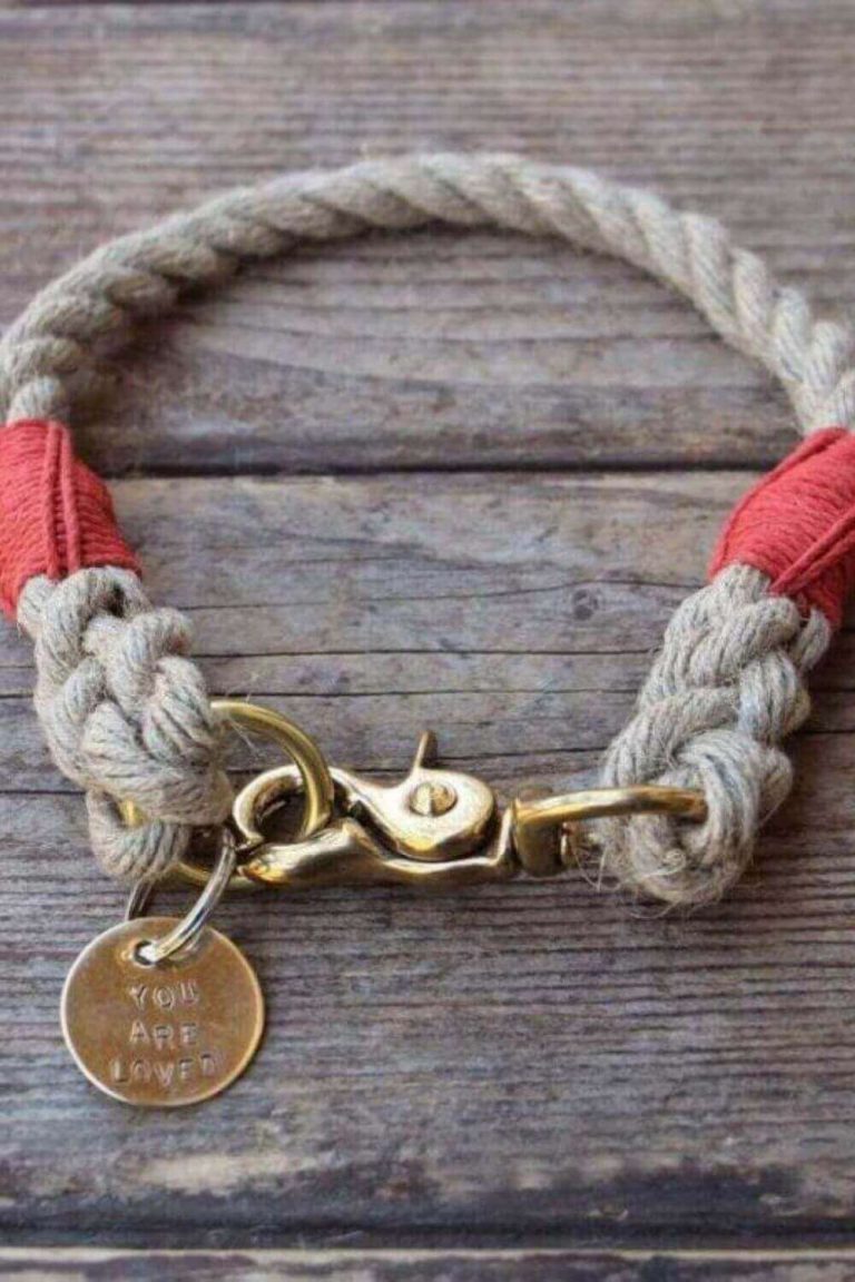 The Best Bamboo Dog Collars for Pups to Sit! Stay! in Sustainable Style