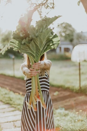 Compost Magic: The Many Benefits Of Composting #benefitsofcomposting #sustainableliving #sustainablejungle