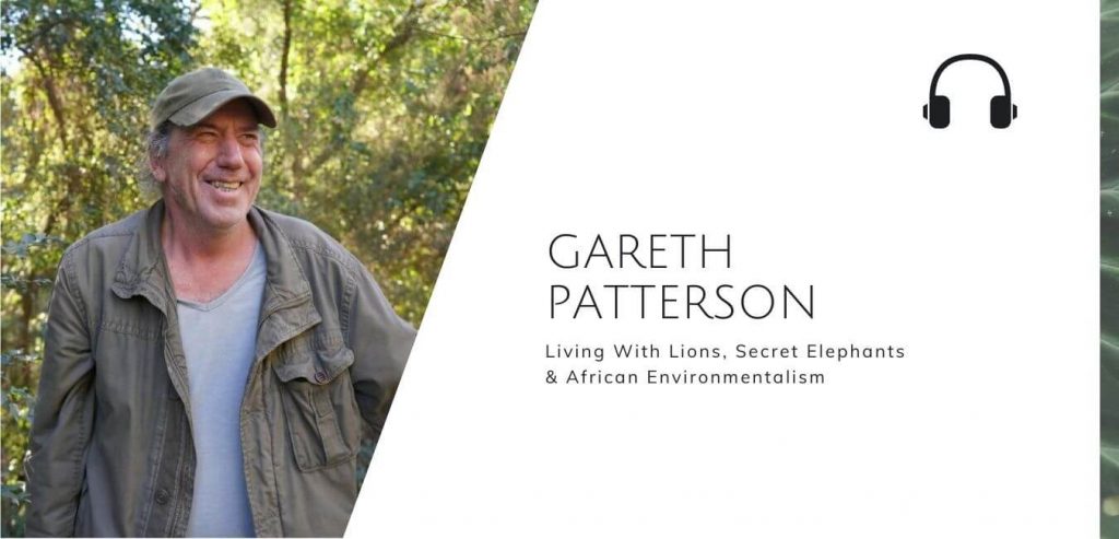 Living With Lions, Secret Elephants & African Environmentalism with Gareth Patterson on The Sustainable Jungle Podcast #sustainablejungle