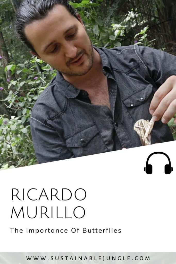 The Importance Of Butterflies with Ricardo Murillo on The Sustainable Jungle Podcast #sustainablejungle