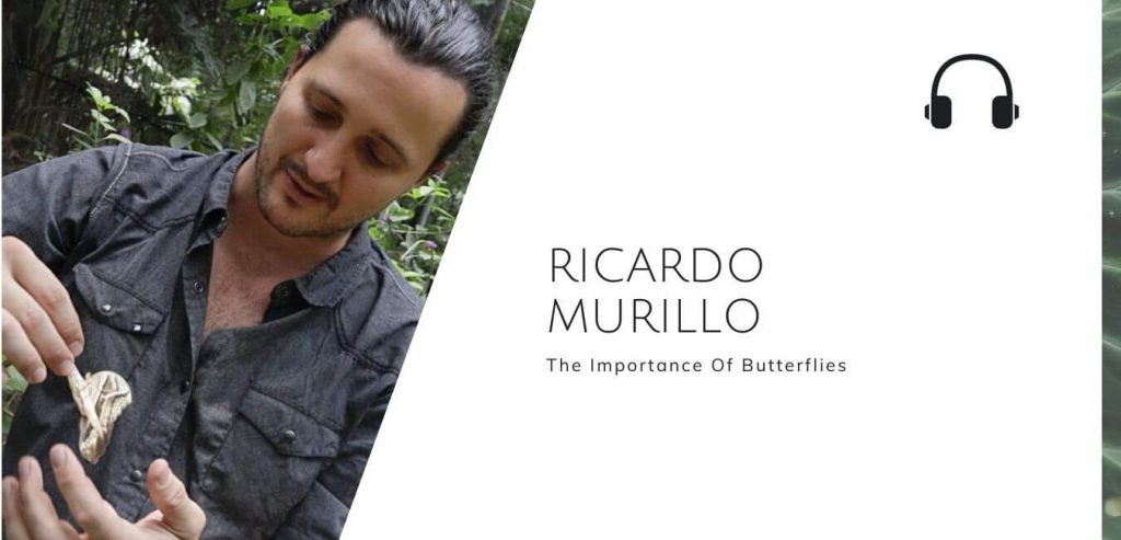 The Importance Of Butterflies with Ricardo Murillo on The Sustainable Jungle Podcast #sustainablejungle