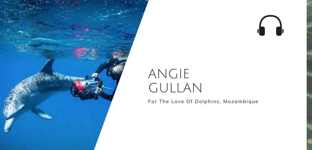 For the love of dolphins with Angie Gullan on the Sustainable Jungle Podcast #sustainablejungle