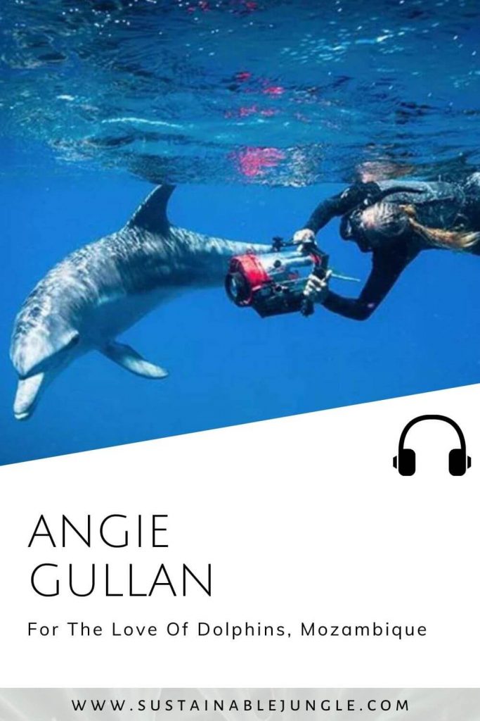 For the love of dolphins with Angie Gullan on the Sustainable Jungle Podcast #sustainablejungle