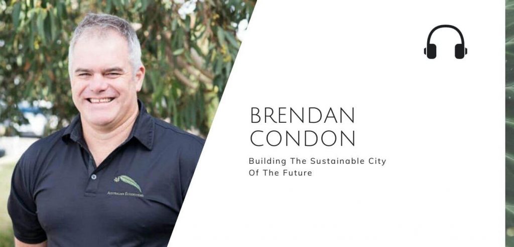 Building the sustainable city of the future with Brendan Condon on the Sustainable Jungle Podcast #sustainablejungle