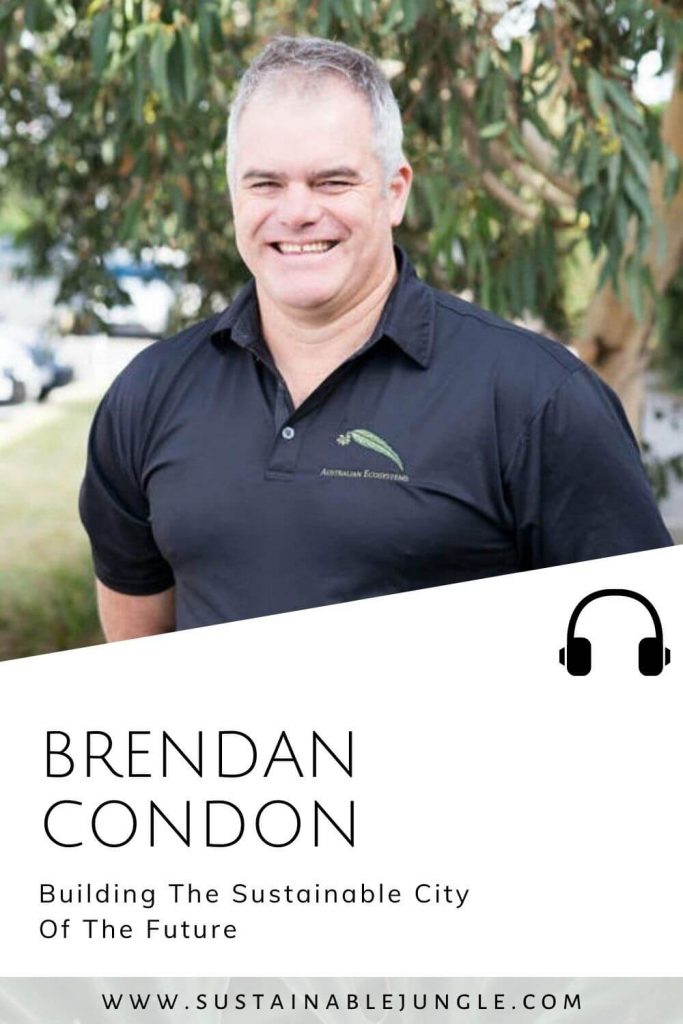 Building the sustainable city of the future with Brendan Condon on the Sustainable Jungle Podcast #sustainablejungle