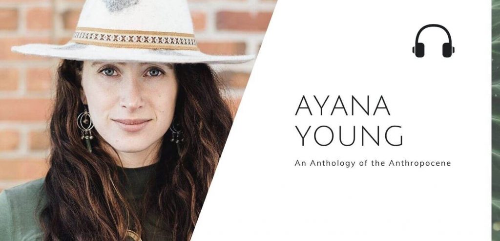 Sustainable Jungle Podcast - Ayana Young - For the Wild - episode 51