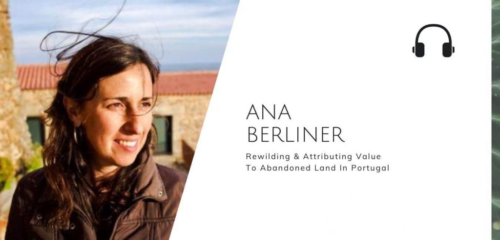 Rewilding & Attributing Value To Abandoned Land In Portugal with Ana Berliner on the Sustainable Jungle Podcast #sustainablejungle