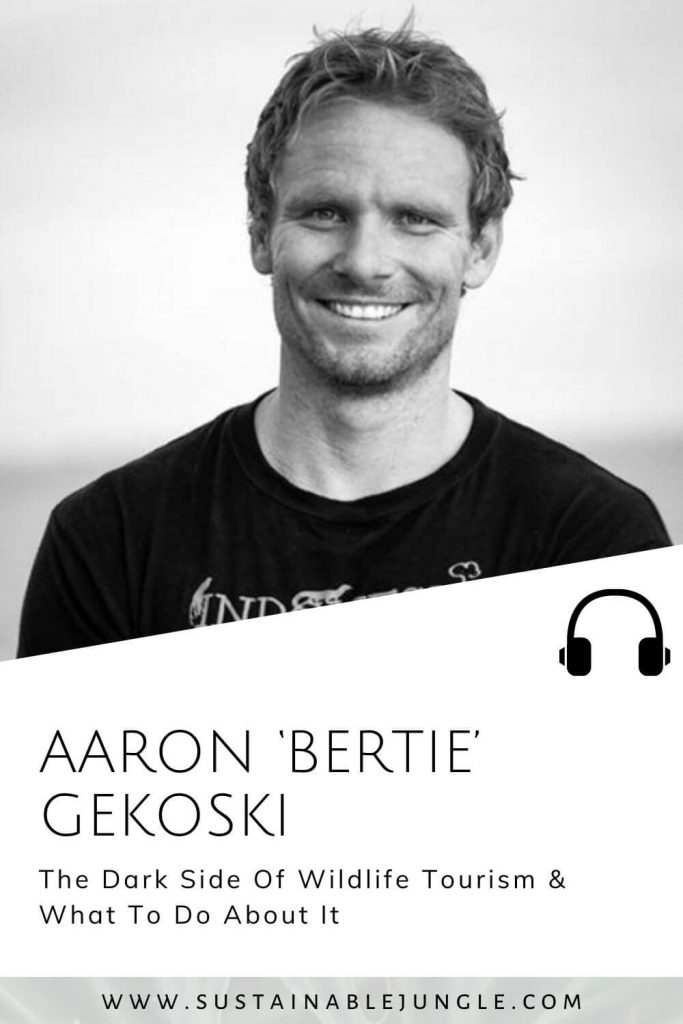 The Dark Side Of Wildlife Tourism And What To Do About It with Aaron Gekoski on the Sustainable Jungle Podcast #sustainablejungle