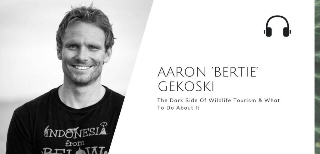 The Dark Side Of Wildlife Tourism And What To Do About It with Aaron Gekoski on the Sustainable Jungle Podcast #sustainablejungle