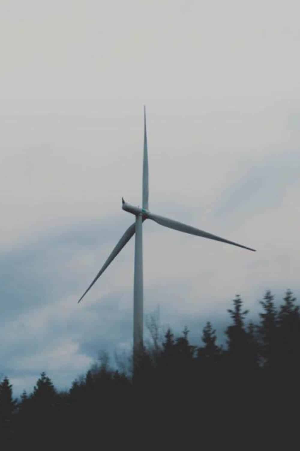 What Is Renewable Energy And Why It’s A No Brainer #renewableenergy
