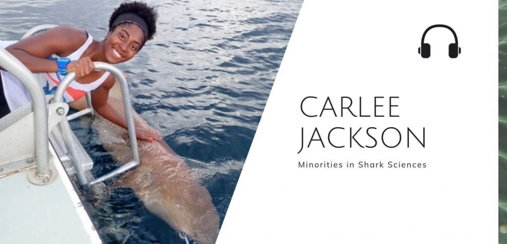 Minorities in Shark Sciences with Carlee Jackson on the Sustainable Jungle Podcast #blackinnature #minoritiesinsharkscience #sustainablejungle
