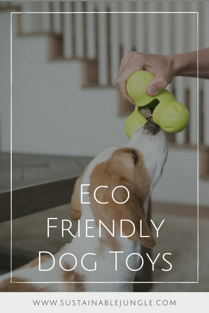 Dogs can really tug at your heartstrings. Unfortunately, they also tug a bit on the planet, too. So, to reduce our foot prints, or rather paw prints, we found some of the most eco friendly dog toys for sustainable pooches. Image by West Paw #ecofriendlydogtoys #sustainabledogtoys #sustainablejungle