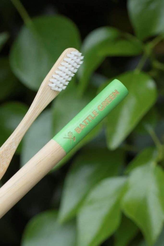 everloop toothbrush buy online