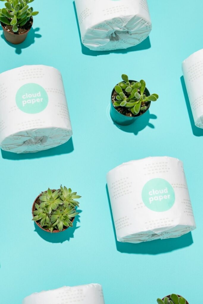 We’re going to get down and dirty and talk about sustainable butts and zero waste toilet paper. Believe it or not, there are more options than you might think! Image by Cloud Paper #zerowastetoiletpaper #ecofriendlytoiletpaper #sustainablejungle